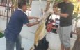 Kelurahan Gondrong Salurkan Daging Qurban untuk Warga di Idul Adha 1447 H