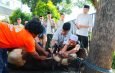 Pilar Turun Langsung Sembelih Hewan Kurban, Tekankan Solidaritas Sosial Warga Tangsel