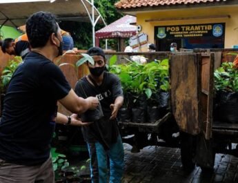 Pemkot Tangerang Sediakan Bibit Tanaman Gratis, Begini Cara Mudah Mendapatkannya